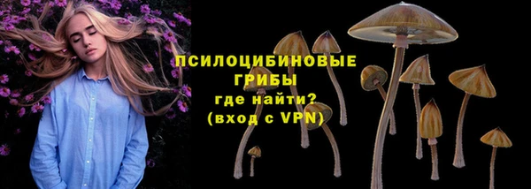 дживик Иннополис