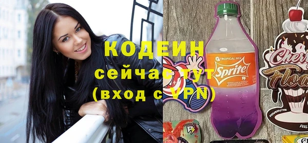 мет Инта