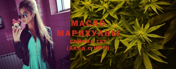 мет Инта