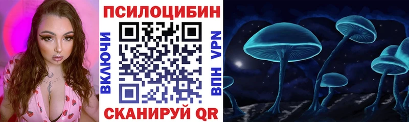 Купить Щёлкино Псилоцибиновые грибы мицелий